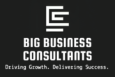 BIG BUSINESS CONSULTANTS